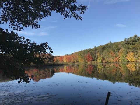 83 Lackey Dam Rd, Sutton, MA 01590 photo 20
