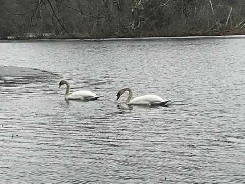 83 Lackey Dam Rd, Sutton, MA 01590 photo 19