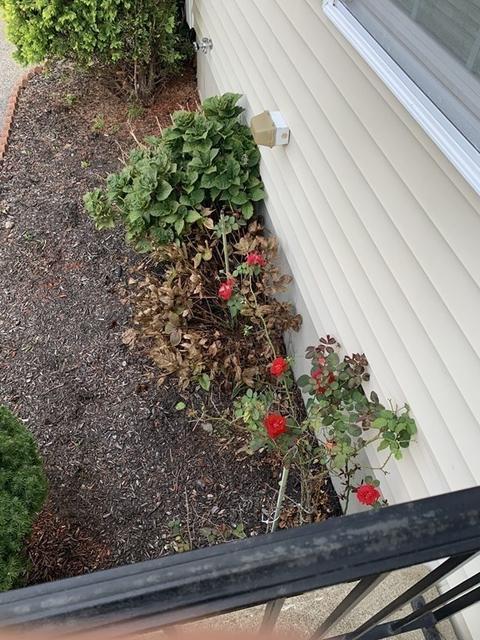 255 Laurel St, Fall River, MA 02724 photo 8