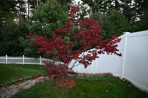6 Shawnee Rd, Worcester, MA 01606 photo 36