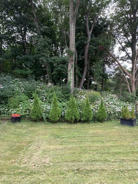 18 Hillside Ter, Hingham, MA 02043 photo 22