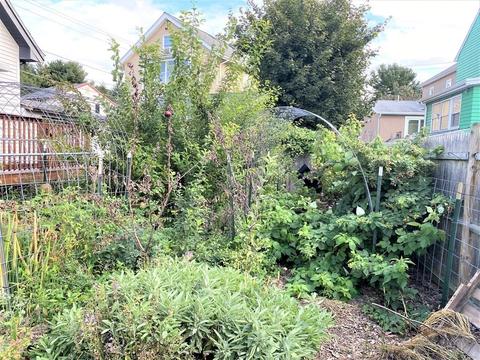 49 Mckinley St, Everett, MA 02149 photo 28