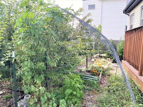 49 Mckinley St, Everett, MA 02149 photo 27