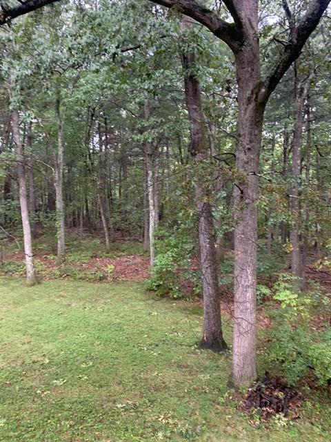17 Blanchard Rd, Harvard, MA 01451 photo 10