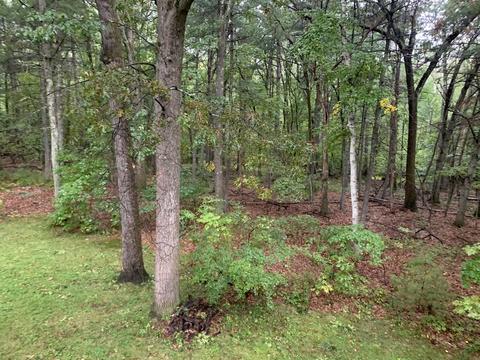 17 Blanchard Rd, Harvard, MA 01451 photo 9