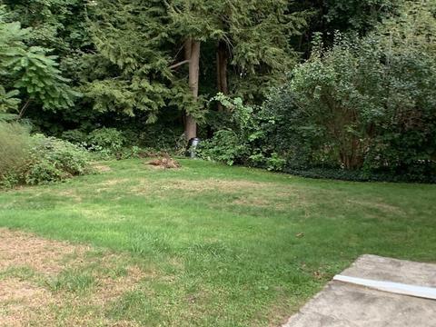 22 Lewis St, Maynard, MA 01754 photo 21