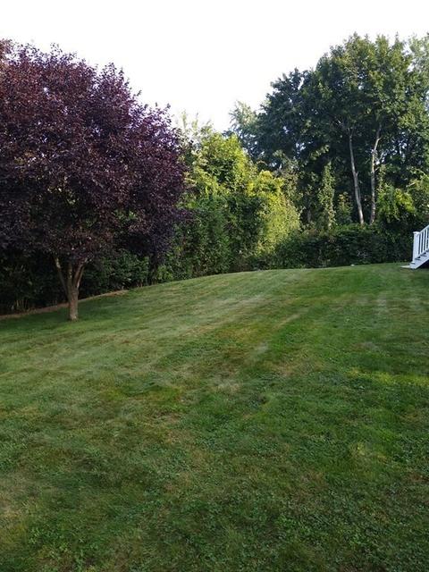 12 Conger Rd, Worcester, MA 01602 photo 41