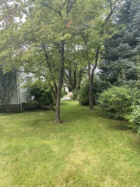 741 Washington St, Canton, MA 02021 photo 32