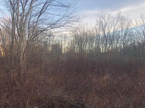 22 Gardner, Seekonk, MA 02771 photo 9