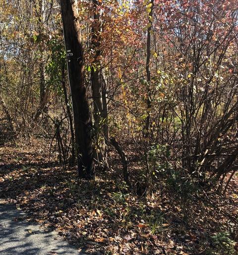 22 Gardner, Seekonk, MA 02771 photo 2