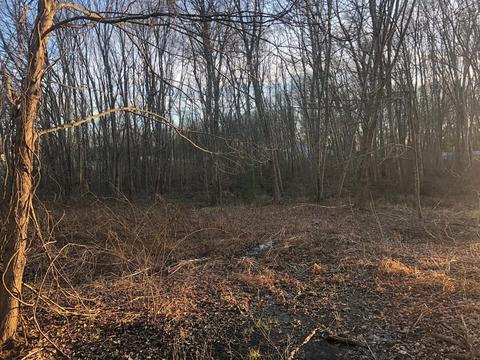 22 Gardner, Seekonk, MA 02771 photo 7