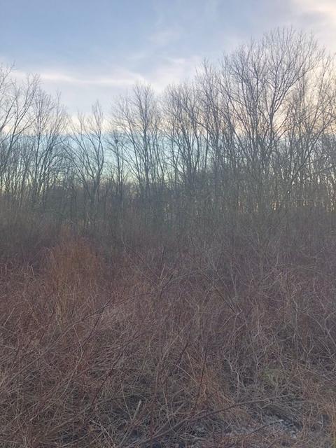 22 Gardner, Seekonk, MA 02771 photo 13