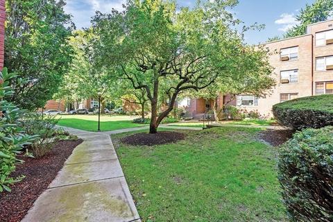 49 Harvard Ave #5, Brookline, MA 02446 photo 22