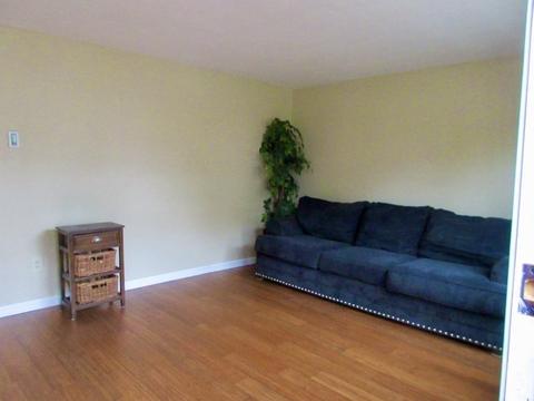 108 Parallel St, Springfield, MA 01104 photo 3