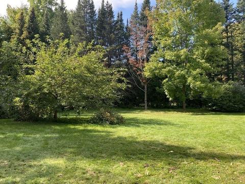 171 Baptist Corner Rd, Ashfield, MA 01330 photo 3