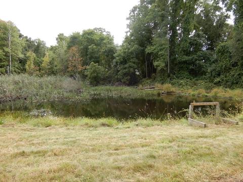 79 East St, Ware, MA 01082 photo 6