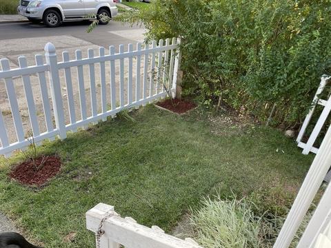 9 Upland Ave, Webster, MA 01570 photo 21
