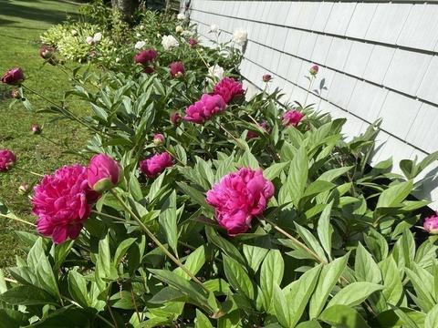 21 Water St, Berkley, MA 02779 photo 25