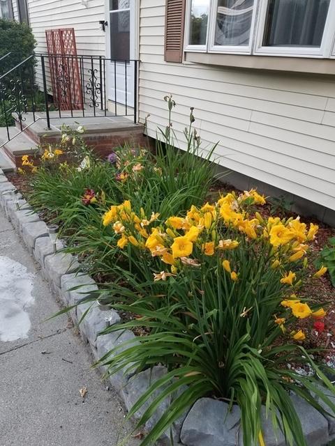 7 Waban Ave, Worcester, MA 01604 photo 2