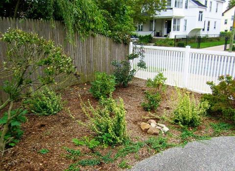 26 White St, Springfield, MA 01108 photo 5
