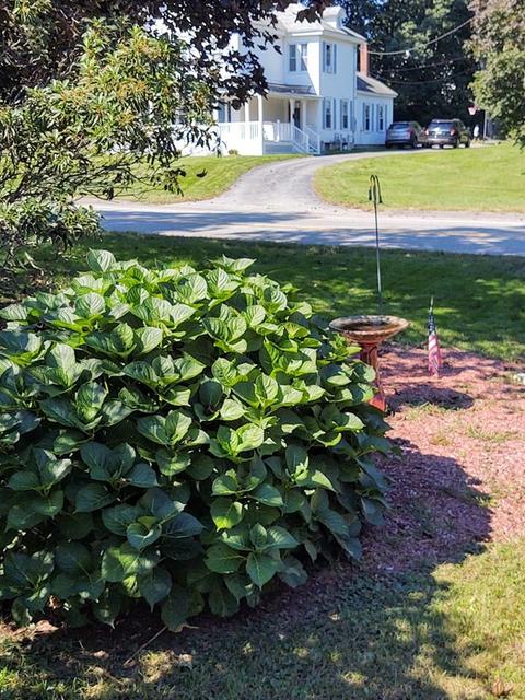 271 Webster St, Worcester, MA 01603 photo 6