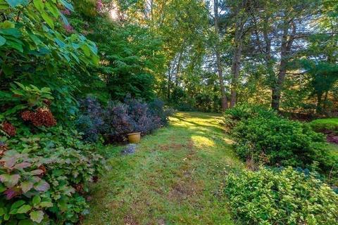 20 Colburn St, Dedham, MA 02026 photo 25