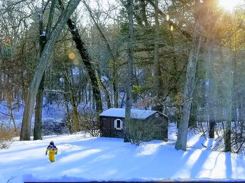 12 Marshall Rd, Natick, MA 01760 photo 37
