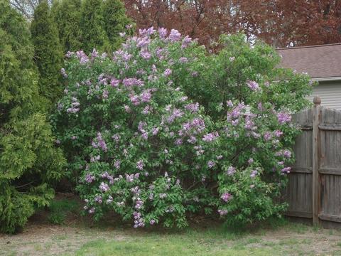 118 Terimar St, Chicopee, MA 01013 photo 2