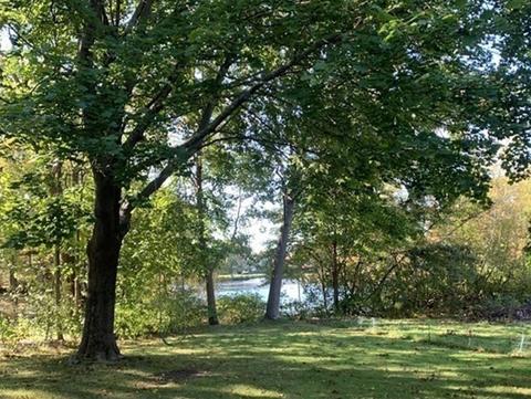 1 High Plain St, Walpole, MA 02081 photo 9