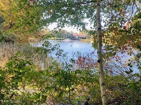 1 High Plain St, Walpole, MA 02081 photo 8