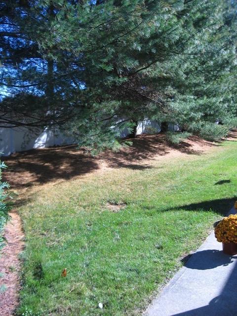 210 Johnson Rd # 1, Chicopee, MA 01022 photo 7