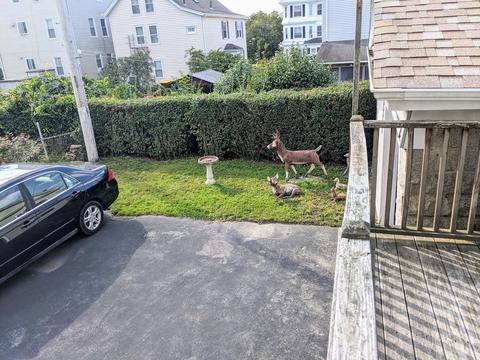 195 Eastern Ave, Fall River, MA 02723 photo 6