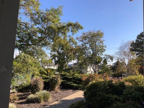 2 Ocean Ave #1A, Gloucester, MA 01930 photo 17