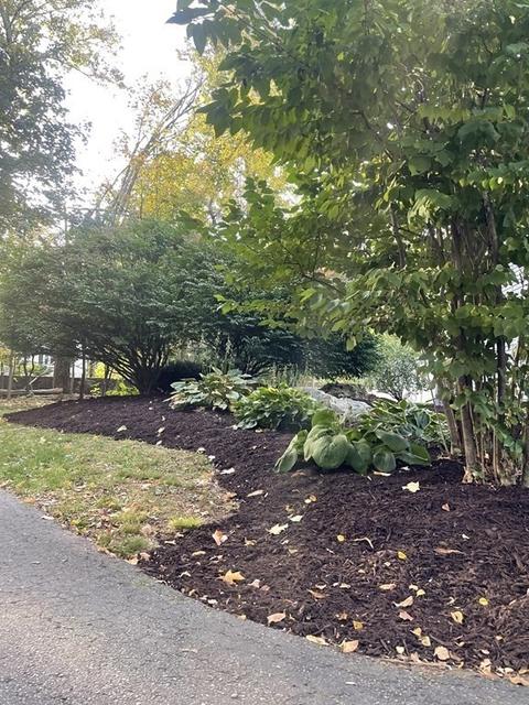 151 Maynard Rd, Framingham, MA 01701 photo 42