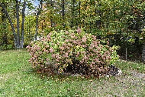 80 Dunn Rd, Ashburnham, MA 01430 photo 28