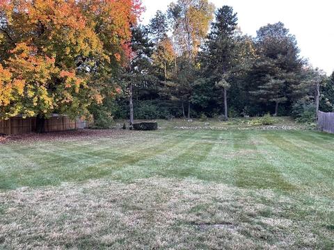 83 Gary Rd, Springfield, MA 01119 photo 23