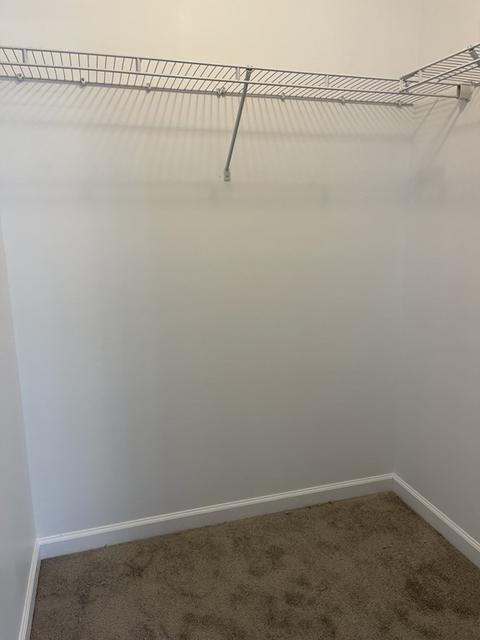 321 Gilbert Ave, Springfield, MA 01119 photo 16