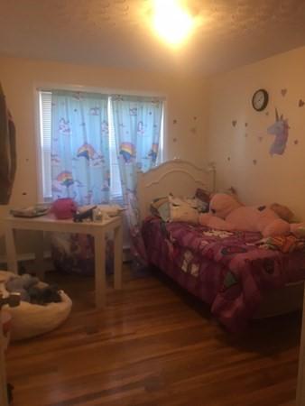 34 Boyd, Worcester, MA 01606 photo 15