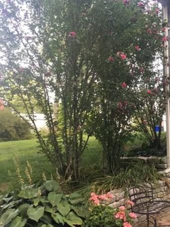 24 Princess Rd, Springfield, MA 01129 photo 41