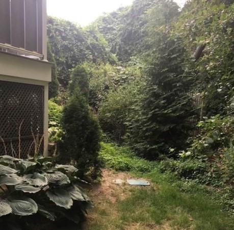 24 Princess Rd, Springfield, MA 01129 photo 42