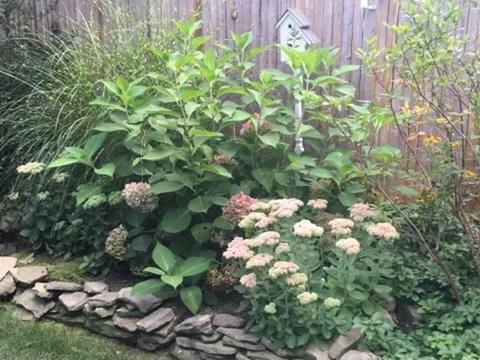 24 Princess Rd, Springfield, MA 01129 photo 39