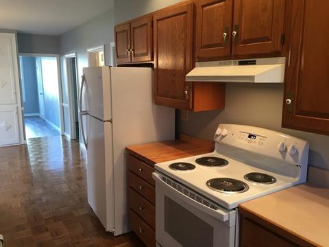 10 E Shelby St, Worcester, MA 01605 photo 33