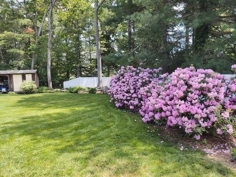 31 Walnut St, Millis, MA 02054 photo 35