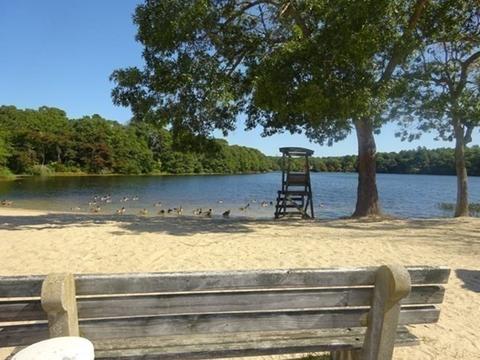 15 Birch St, Bourne, MA 02532 photo 31