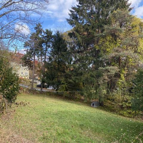 19 Chequeset Rd, Worcester, MA 01605 photo 6