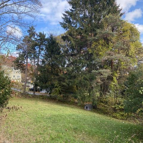 19 Chequeset Rd, Worcester, MA 01605 photo 5