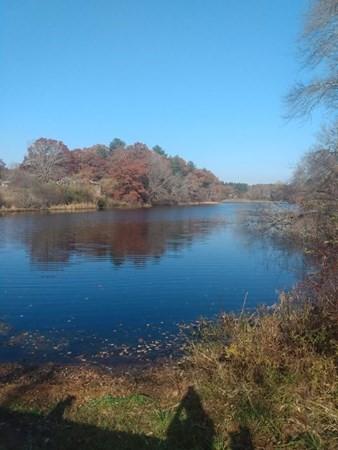 730 King St, Raynham, MA 02767 photo 28