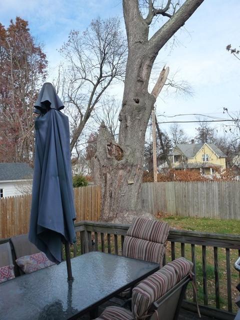 87 Dorset, Springfield, MA 01108 photo 20