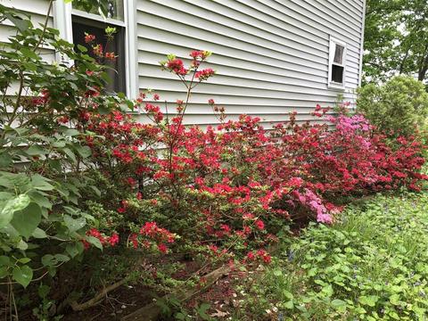 20 Scenic Ave, Webster, MA 01570 photo 41