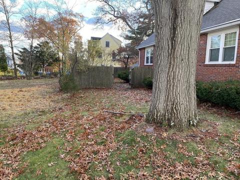 12 Edwin St, Randolph, MA 02368 photo 4